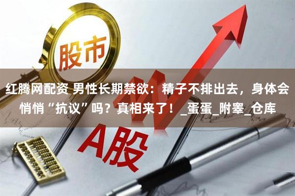 红腾网配资 男性长期禁欲：精子不排出去，身体会悄悄“抗议”吗？真相来了！_蛋蛋_附睾_仓库